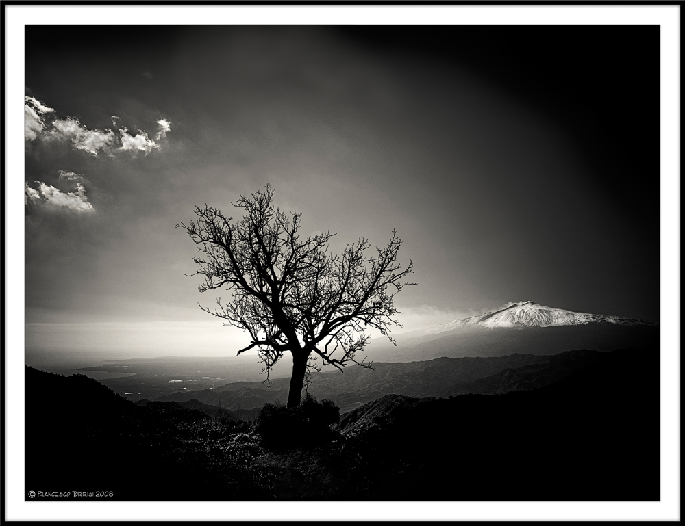 Mostra online di Francesco Torrisi: "Etna" - 1.