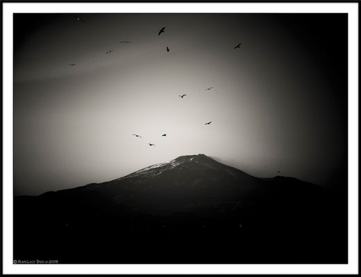 Mostra online di Francesco Torrisi: "Etna" - 8.