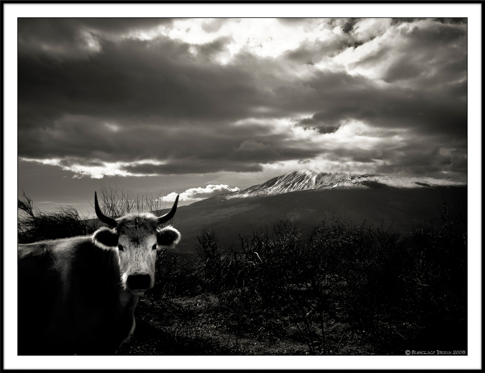 Mostra online di Francesco Torrisi: "Etna" - 9.