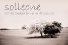 Mostra online di Francesco Torrisi "Solleone" di fotocommunity.it 