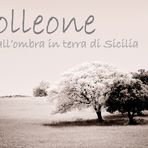 Mostra online di Francesco Torrisi "Solleone"
