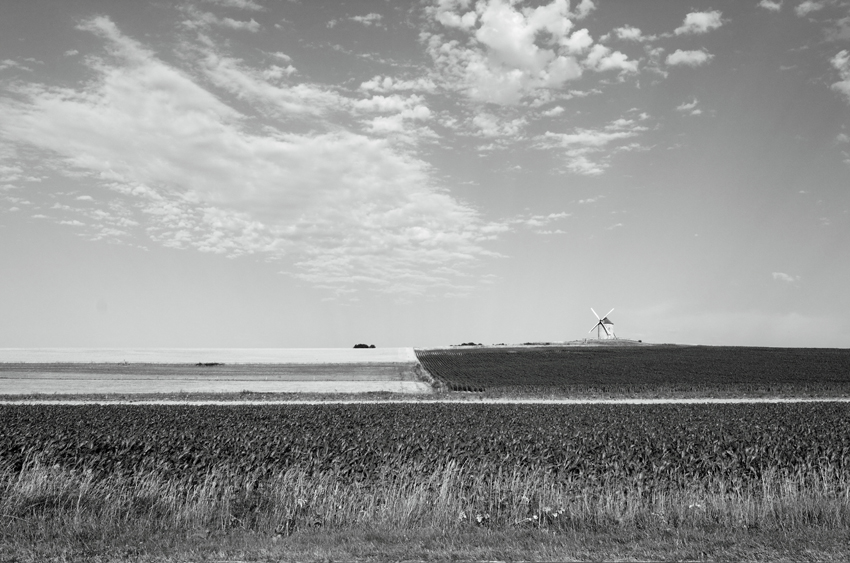 Mostra online di Giorgio Franchi "Un po' di silenzio" - 4.