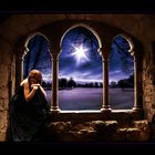 Mostra online di Grazia Aimo "Aria di sogno" - 10. Prayer in the night