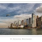 Mostra online di Grazia Bertano “Autumn in New York” - 1. Flight from New York