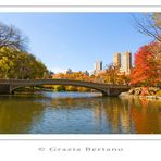 Mostra online di Grazia Bertano “Autumn in New York” - 3. Indian summer in Central Park