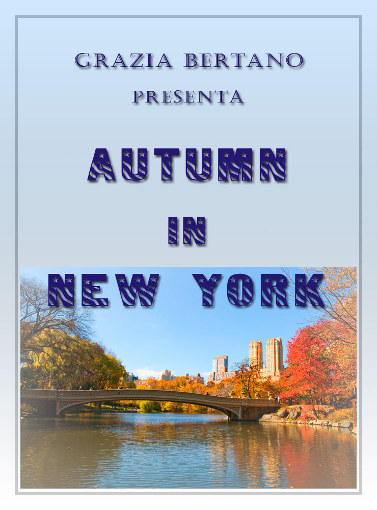 Mostra online di Grazia Bertano "Autumn in New York"