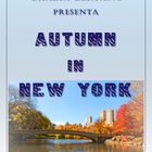 Mostra online di Grazia Bertano "Autumn in New York"