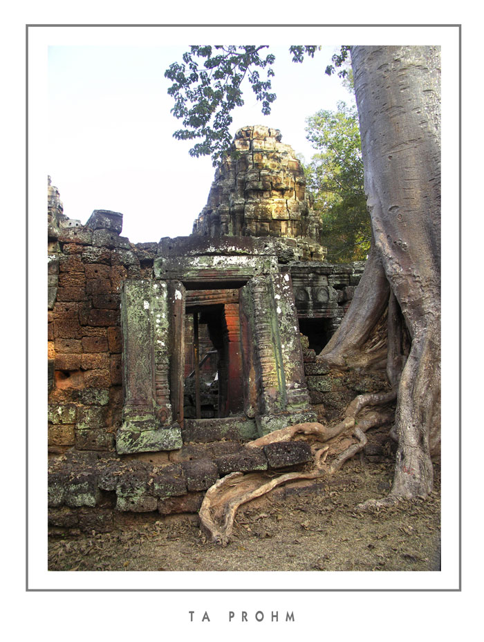 Mostra online di Grazia Bertano: "Non solo Khmer" - 3. Ta Phrom