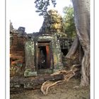 Mostra online di Grazia Bertano: "Non solo Khmer" - 3. Ta Phrom