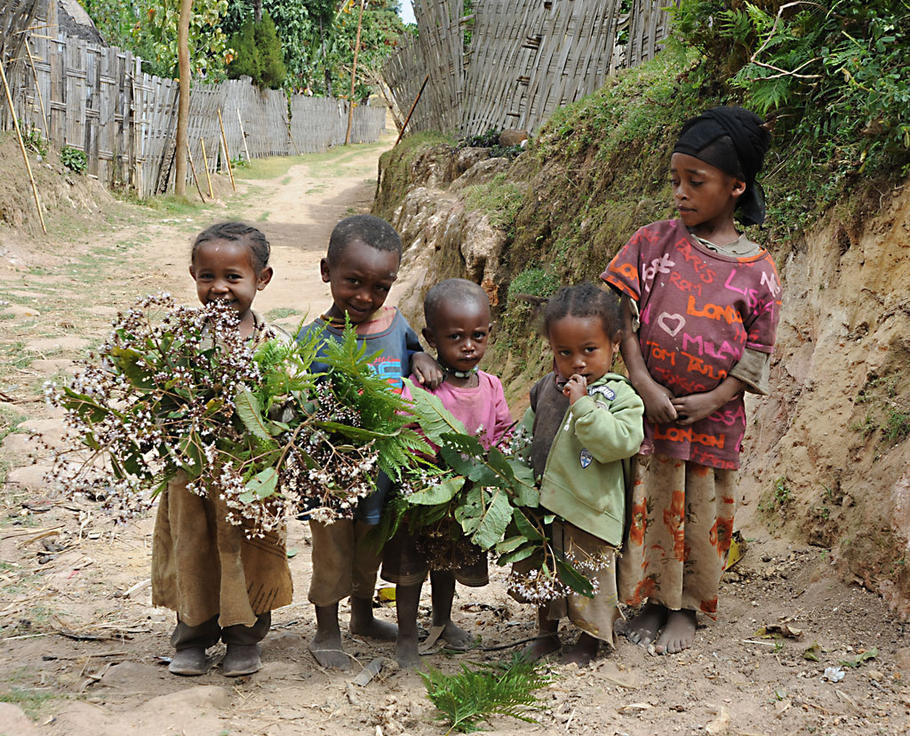 Mostra online di Heinz Homatsch "Etiopia... mio futuro" - 10. Arrivederci!