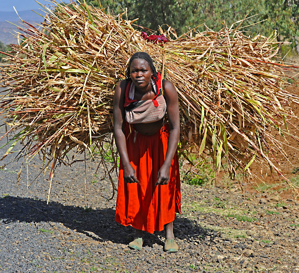 Mostra online di Heinz Homatsch "Etiopia... mio futuro" - 6. Che fatica!