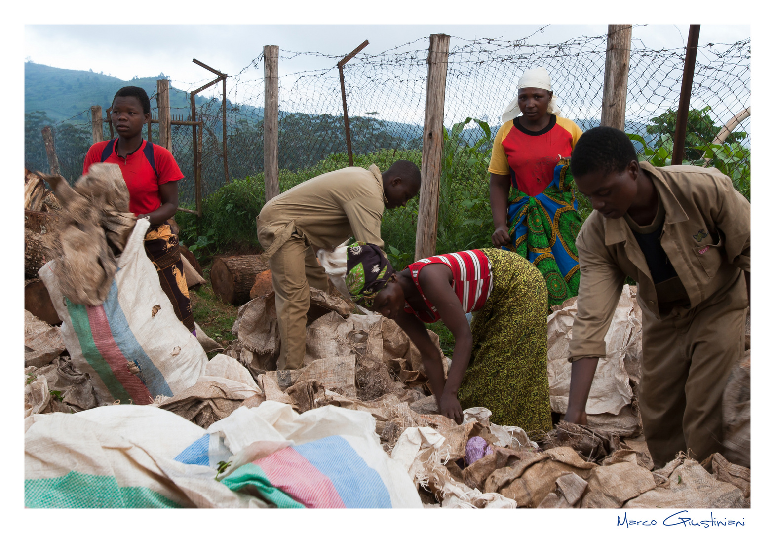 Mostra online di Marco Giustiniani "Malawi, sulle colline del tè" - 1. La scelta dei sacchi