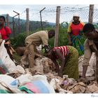 Mostra online di Marco Giustiniani "Malawi, sulle colline del tè" - 1. La scelta dei sacchi
