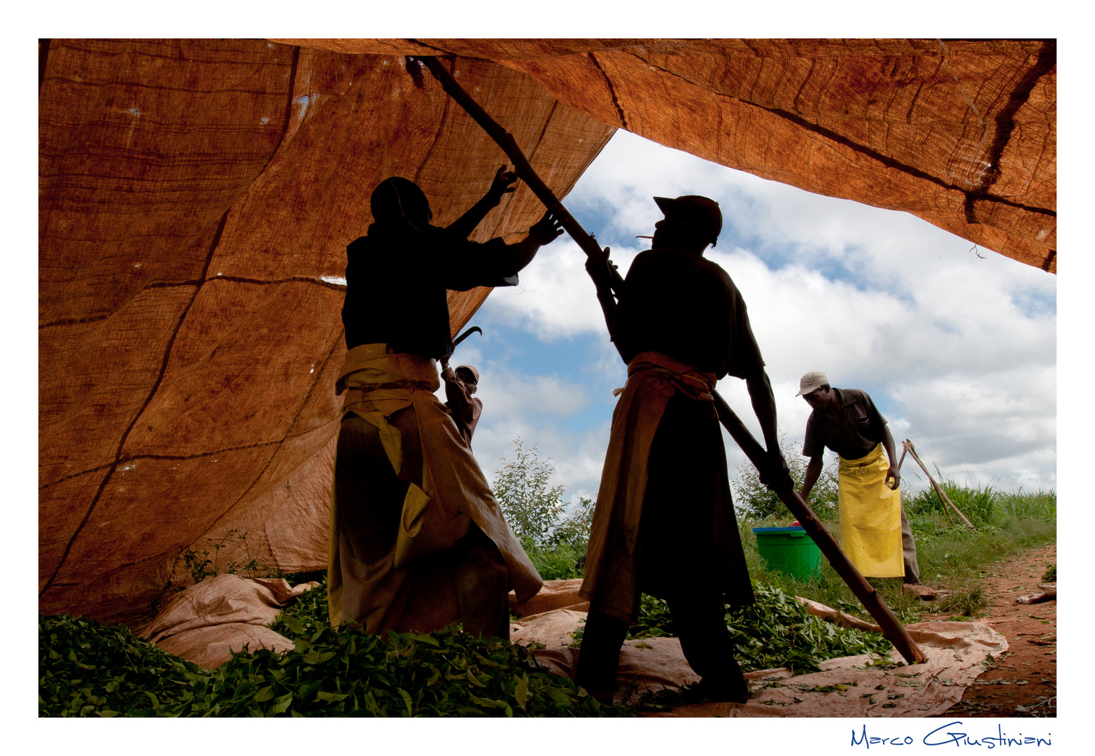Mostra online di Marco Giustiniani "Malawi, sulle colline del tè" - 4. Al riparo...