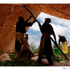 Mostra online di Marco Giustiniani "Malawi, sulle colline del tè" - 4. Al riparo...