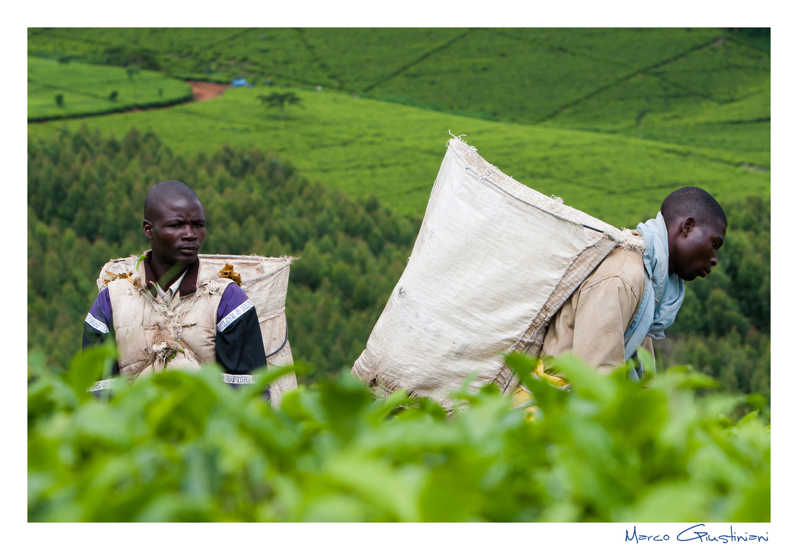 Mostra online di Marco Giustiniani "Malawi, sulle colline del tè" - 7. Dall'alto...