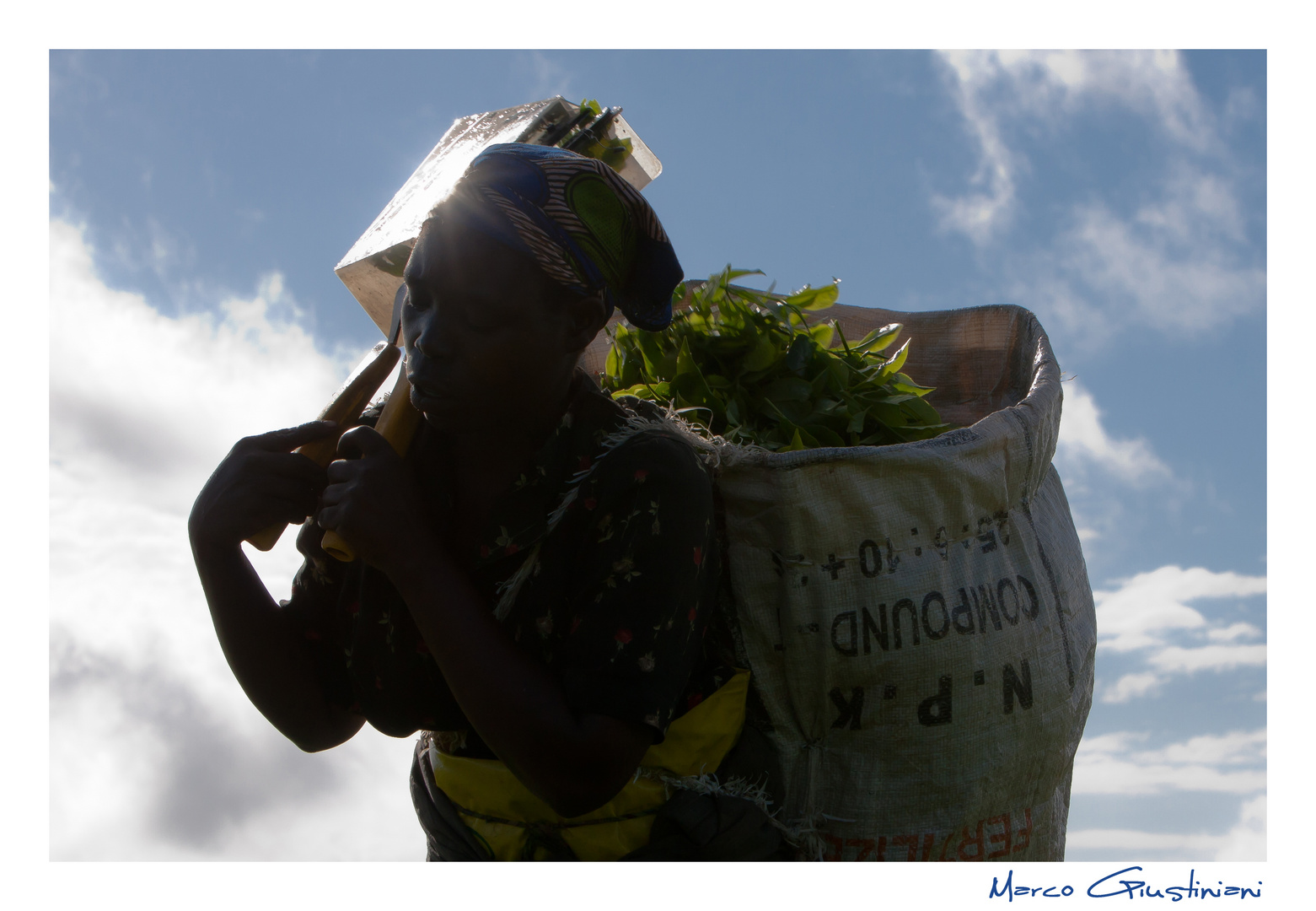 Mostra online di Marco Giustiniani "Malawi, sulle colline del tè" - 8. Sulle proprie spalle...