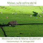Mostra online di Marco Giustiniani "Malawi, sulle colline del tè"