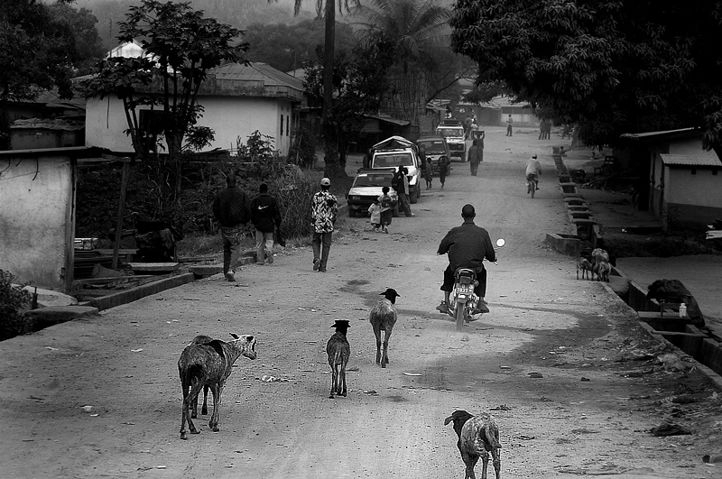 Mostra online di Marco Pavani: "Per le strade della Guinea" - 8. Life