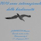 Mostra online di Massimo Zampetti: Biodiversità (Raccontare della)