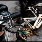 Mostra online di Nicola Giaretta "Bicicletta Maledetta" - 5.