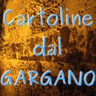 Mostra online di Nicola Tavernini: "Cartoline dal Gargano"