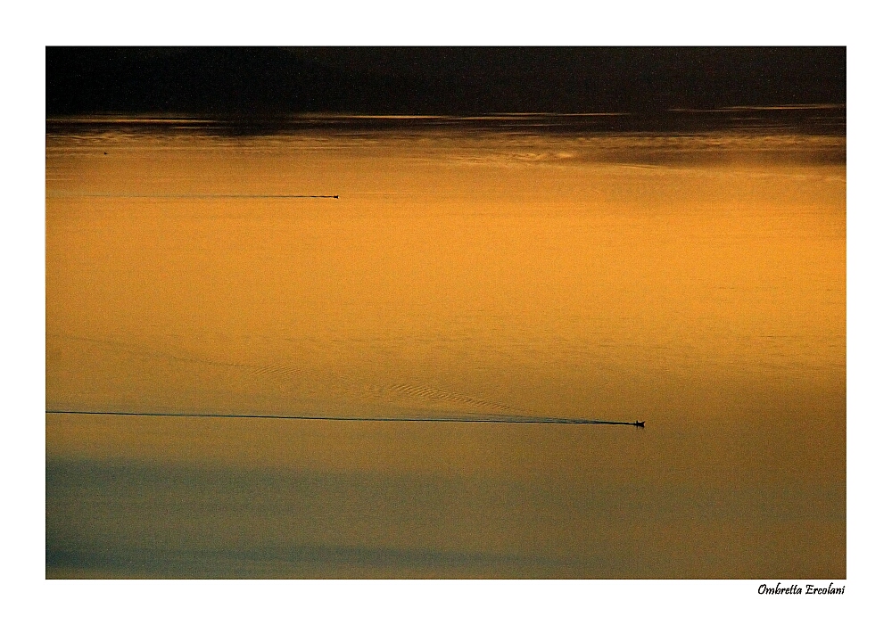 Mostra online di Ombretta Ercolani: “La voce del cuore e del silenzio” – 5.