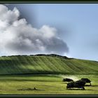 Mostra online di Stefano Todde "Particolari dalla Sardegna" - 2. Nuvole