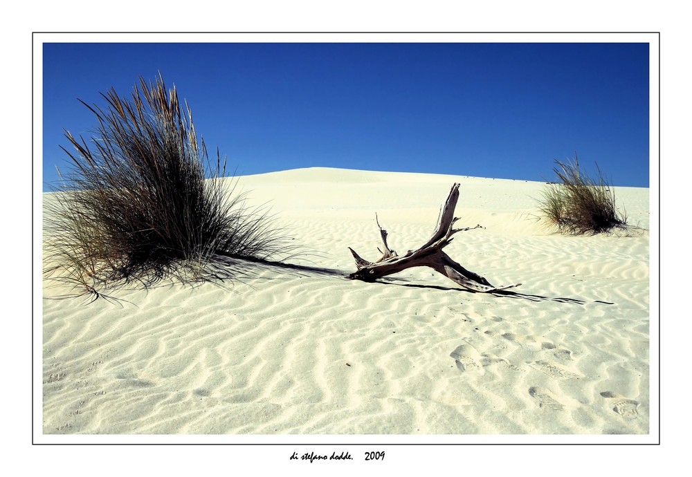 Mostra online di Stefano Todde "Particolari dalla Sardegna" - 9. Dune