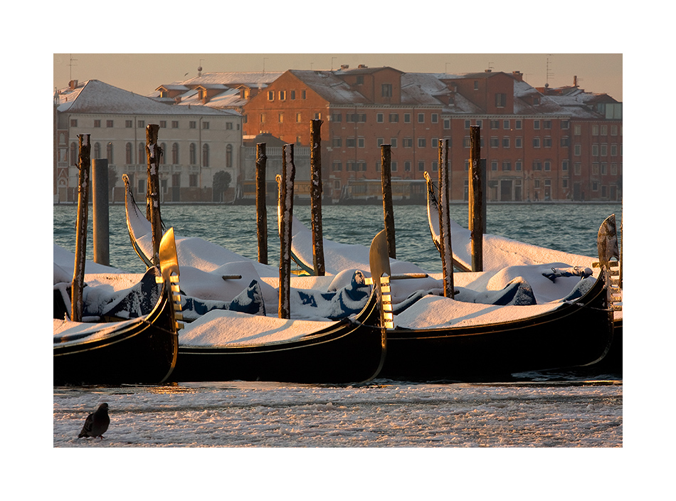 Mostra online di Tommaso Forin "Venezia e la neve" - 7.