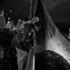 Mostra online di Uta Theile "L'arte della pesca nelle Cinque Terre" - 8. Soddisfazione