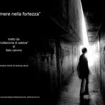 Mostra online Lorenza Ceruti: "Le effimere nella fortezza"