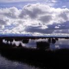 Mostra online "Ricordo di Ilaria Malerba" - 6. Lago di Titicaca, Perù