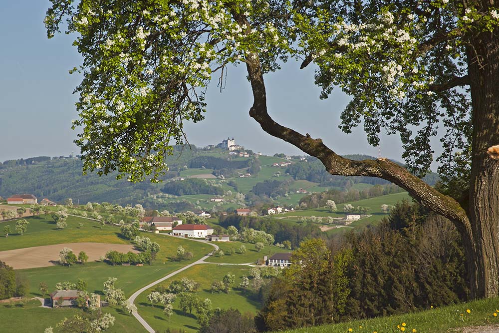 Mostviertel mit Sonntagberg1