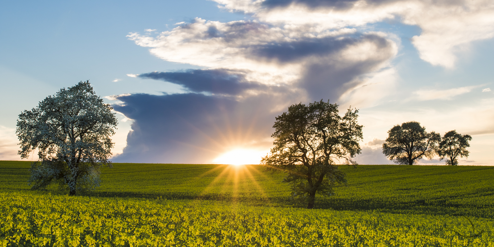 Mostviertler Sonnenuntergang