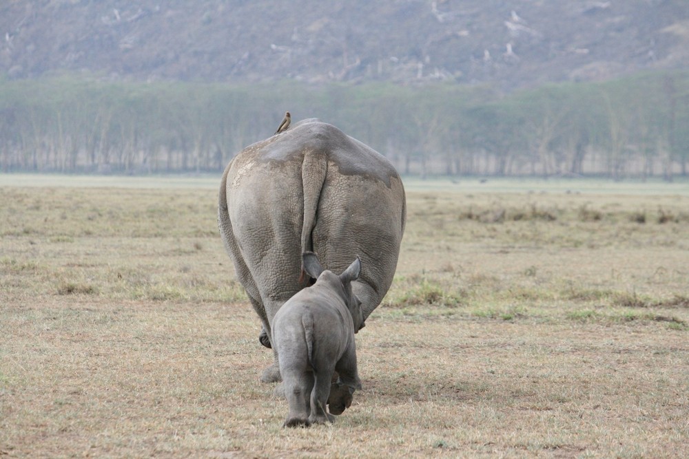 Mother and baby