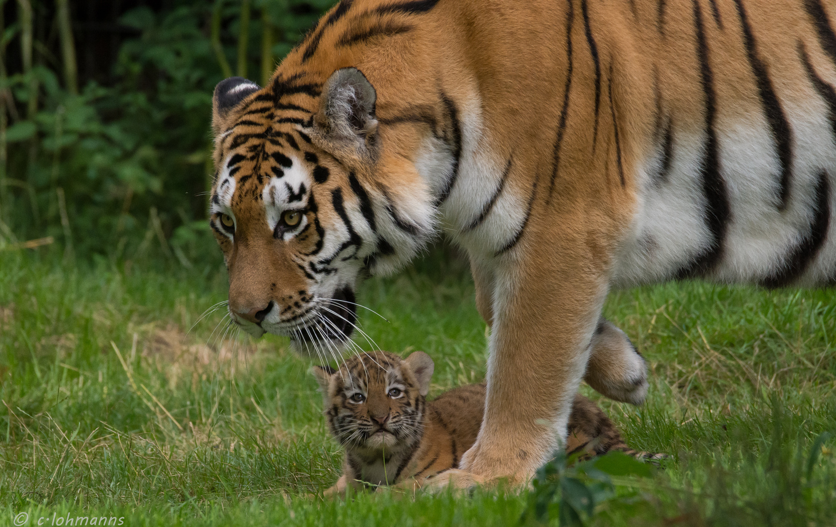 mother and child