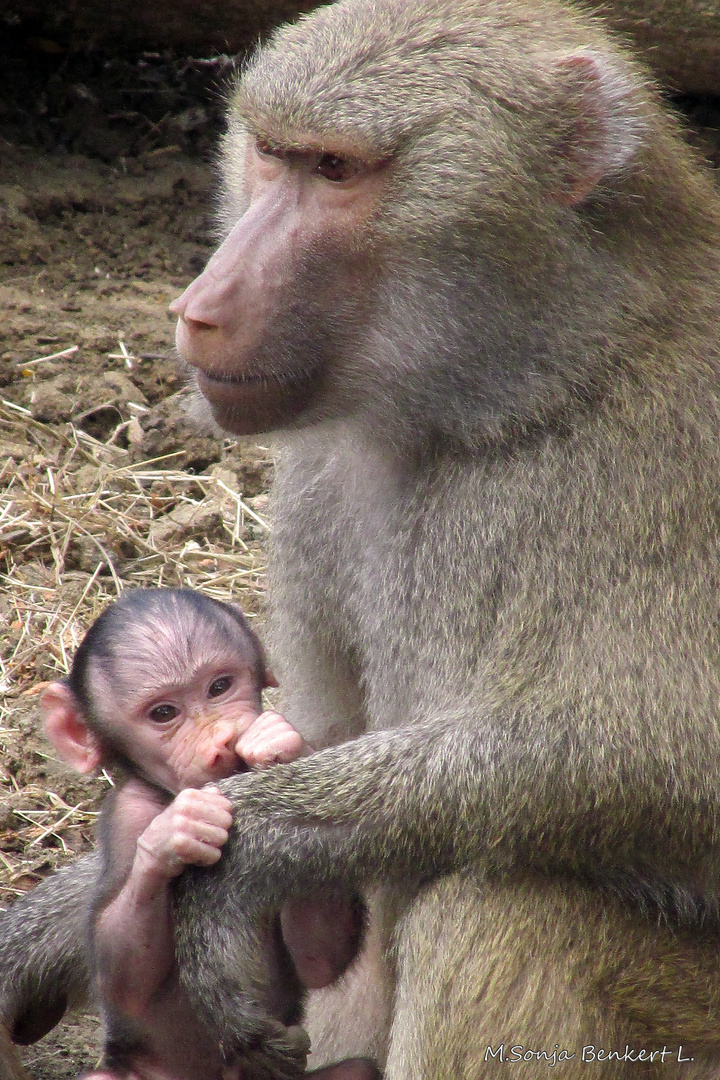 Mother and child