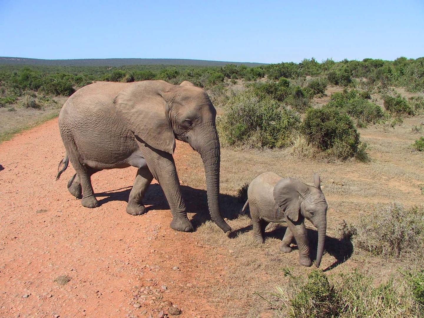 mother and child