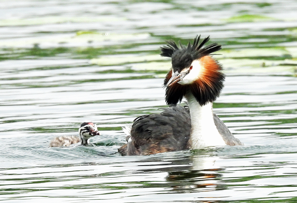 mother and child