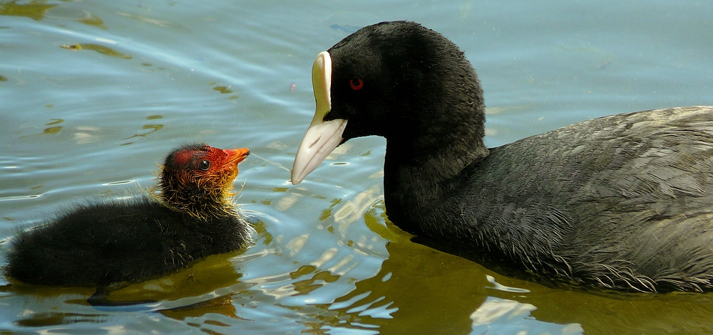 Mother and Child