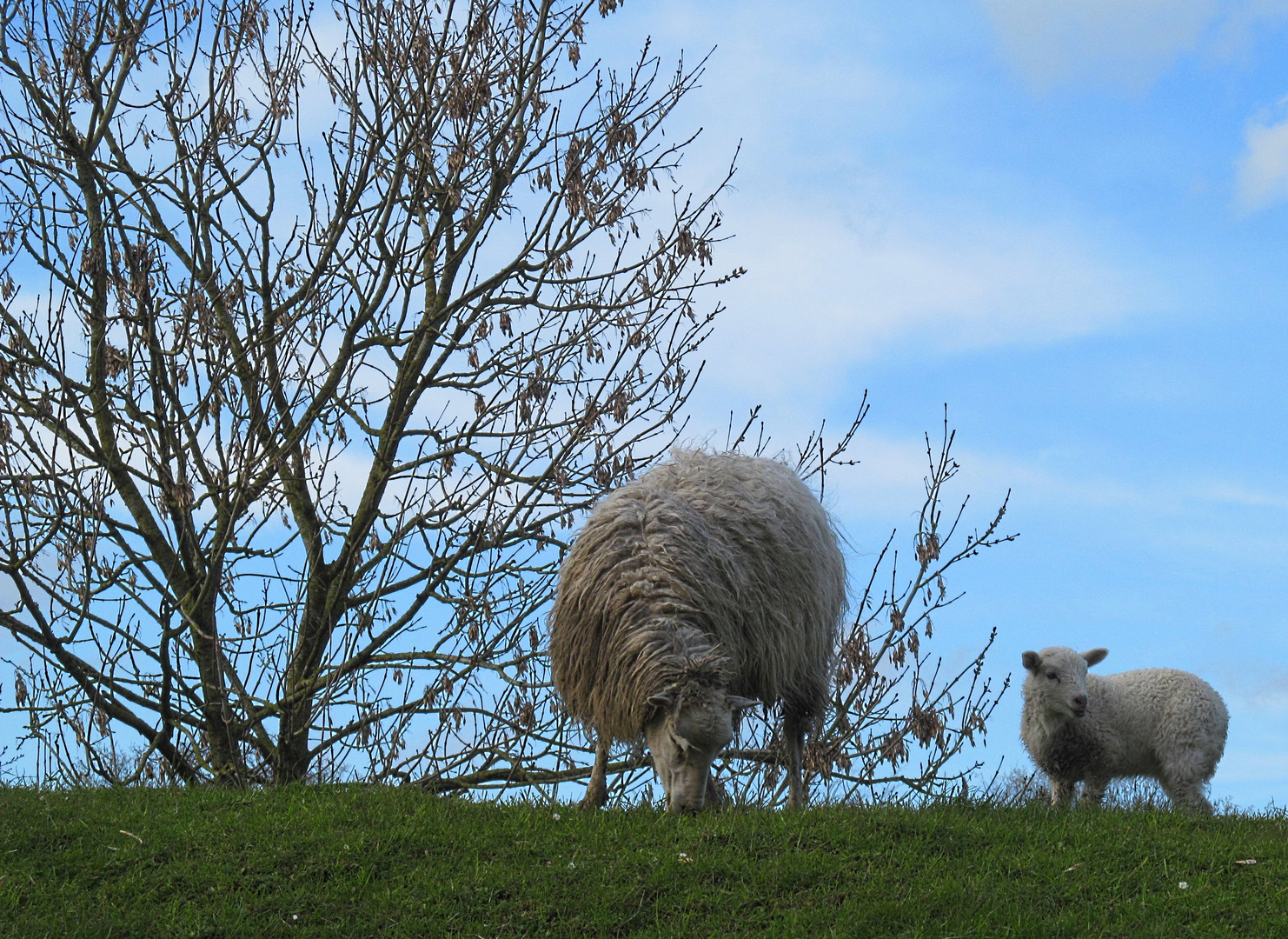  mother and child ...