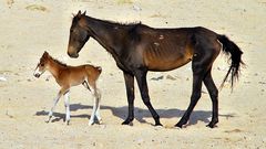 Mother and child