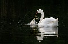 mother and child...