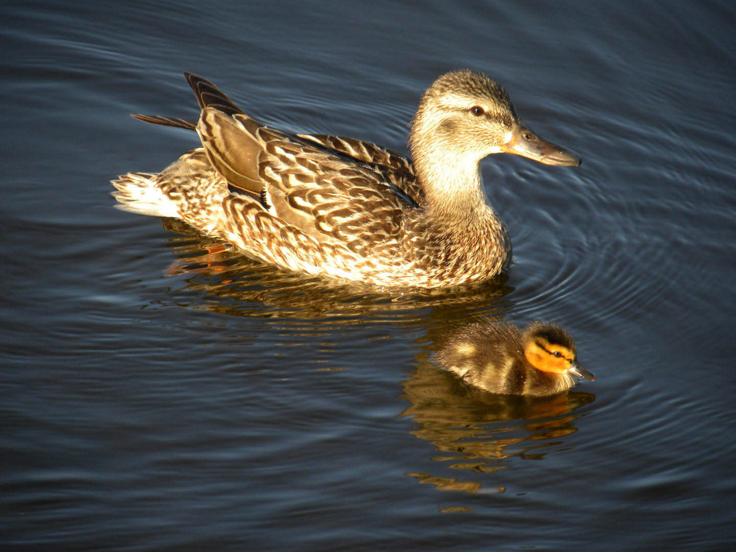 Mother and child......