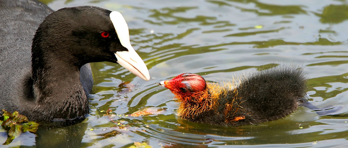 Mother and Child 