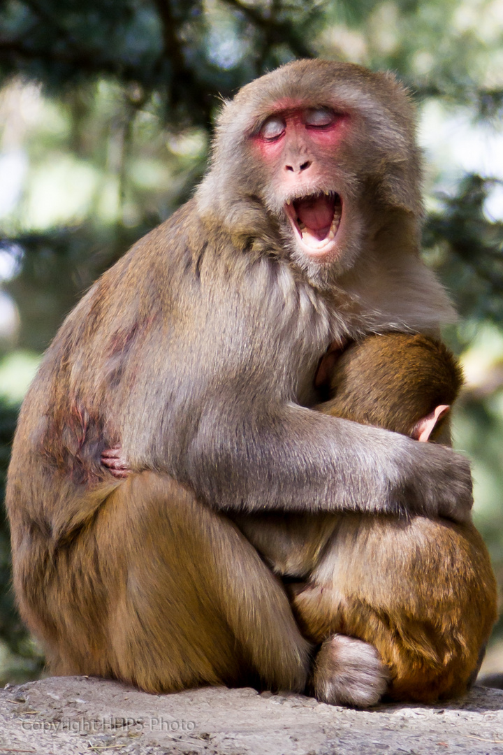 Mother and child in Shimla, Himachal Pradesh, India