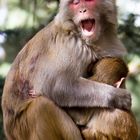 Mother and child in Shimla, Himachal Pradesh, India