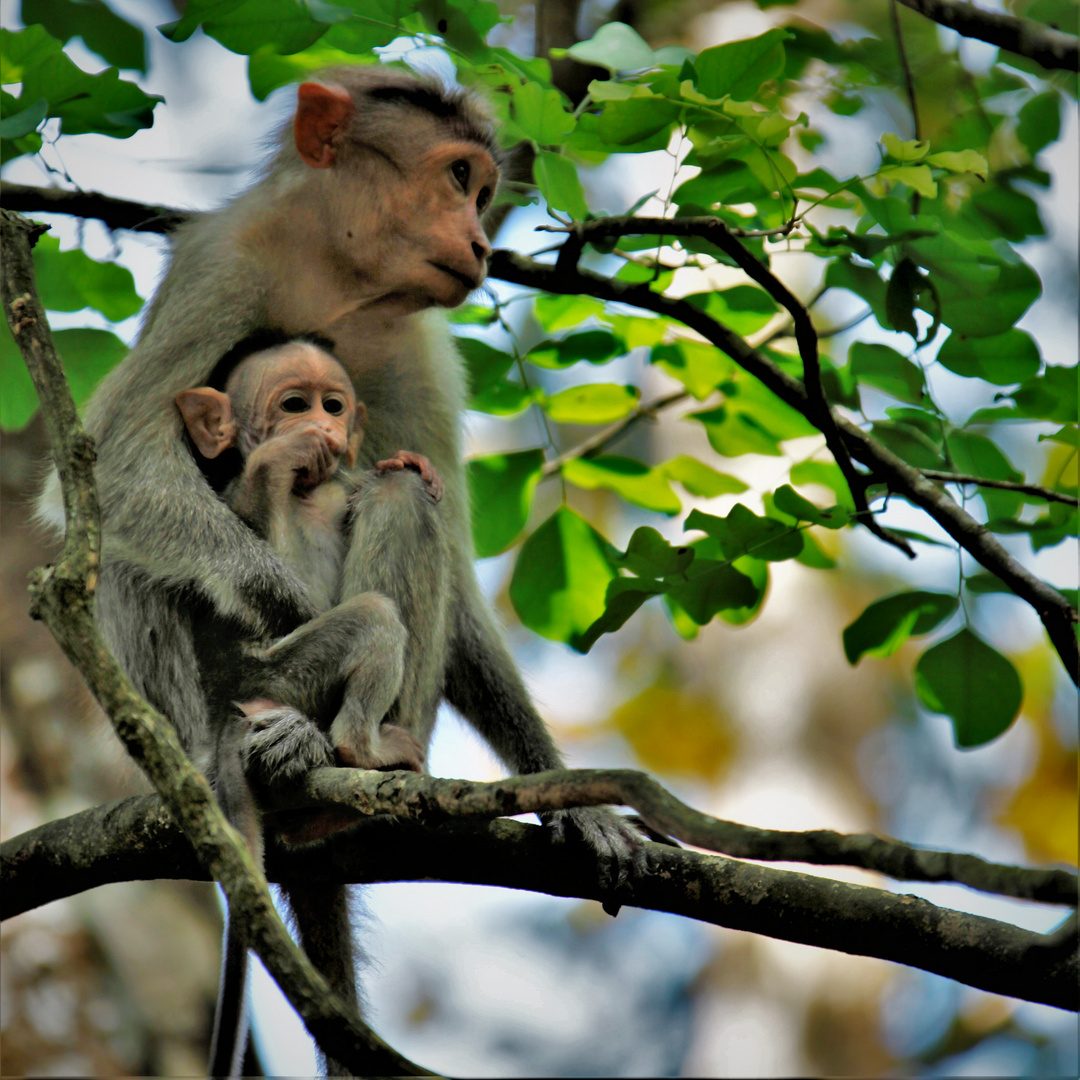 mother and son