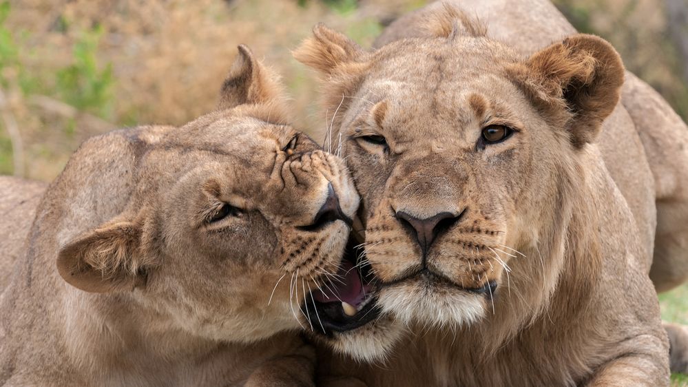 mother and son